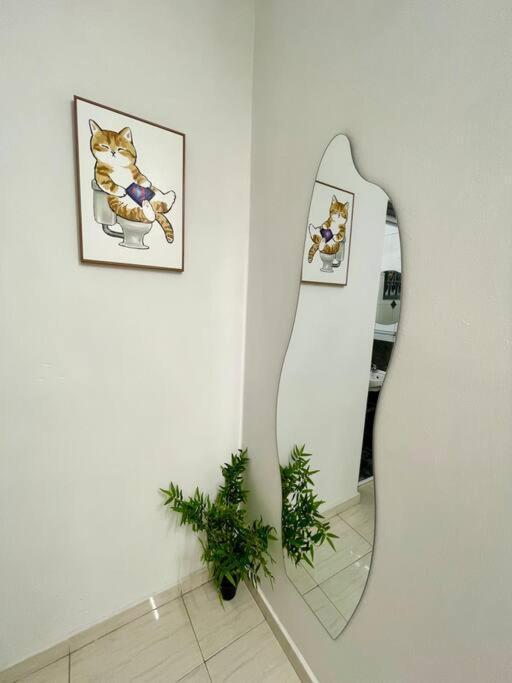 8-9 Pax Apartment